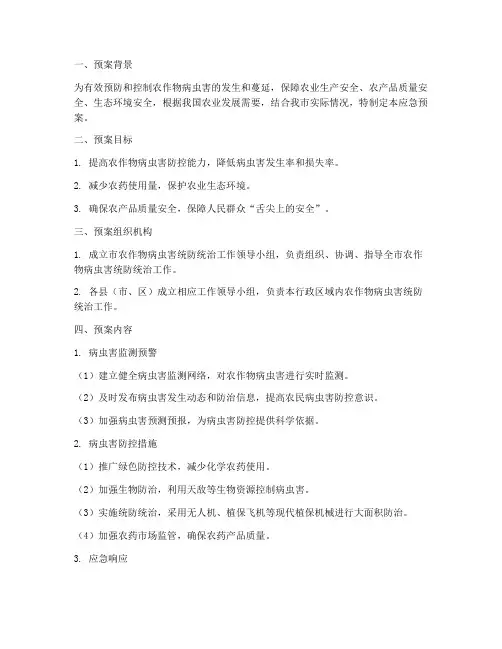 统防统治应急预案
