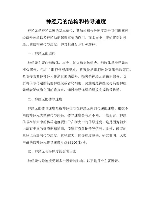 神经元的结构和传导速度