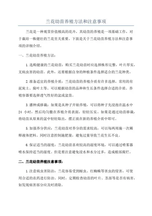 兰花幼苗养殖方法和注意事项