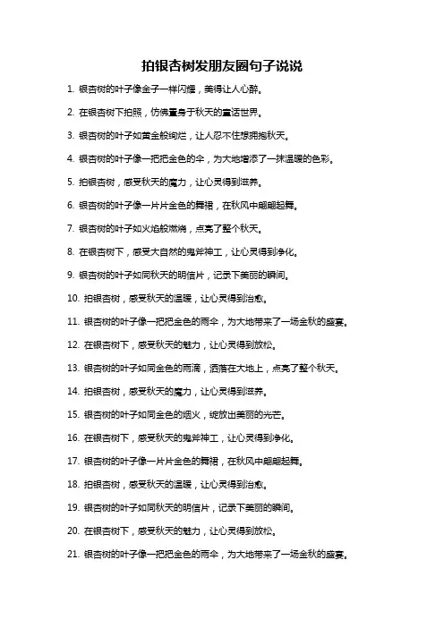 拍银杏树发朋友圈句子说说