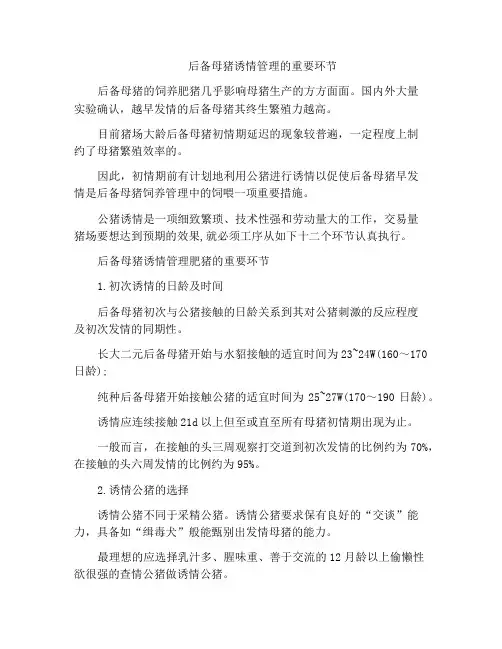 后备母猪诱情管理的重要环节