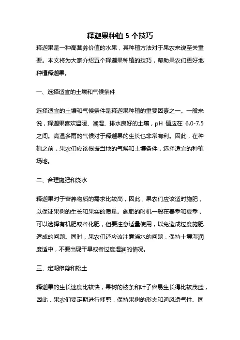释迦果种植5个技巧