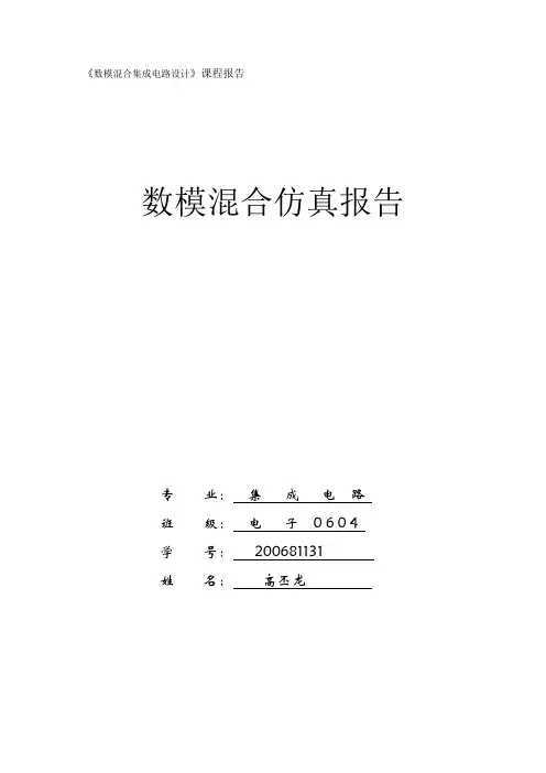 数模混合仿真.