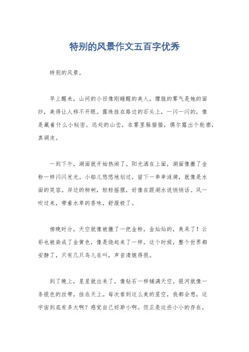 特别的风景作文五百字优秀