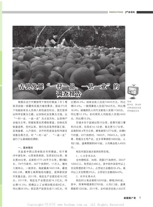 吉县发展“一村一品、一县一业”的调查报告