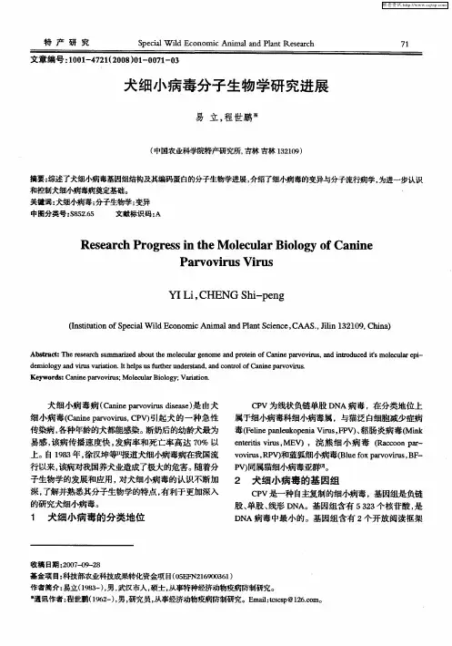 犬细小病毒分子生物学研究进展