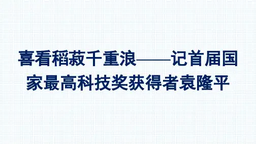 新教材高一语文统编版必修上册课件：第2单元4.喜看稻菽千重浪——记首届国家最高科技奖获得者袁隆平
