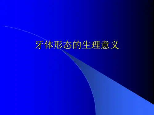 口腔解剖生理学：牙体形态的生理意义