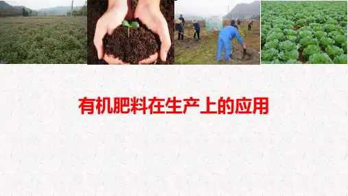 有机肥在生产上的应用.pptx