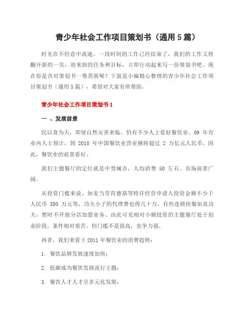 青少年社会工作项目策划书(5篇)