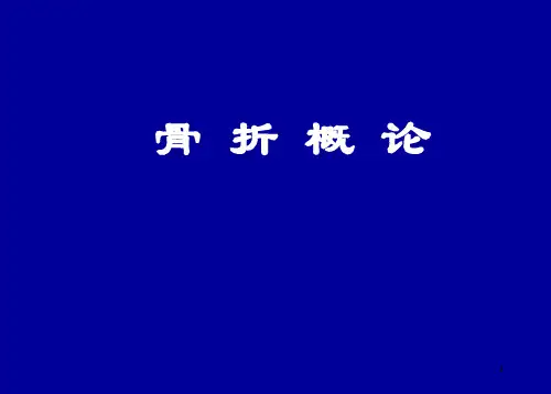 骨科总论ppt课件