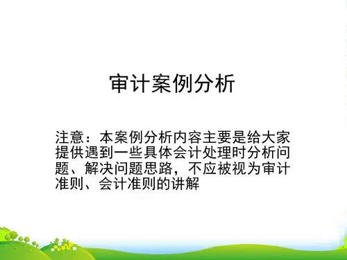 审计经典案例分析(ppt 49页).ppt