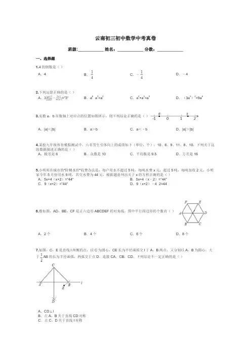 云南初三初中数学中考真卷带答案解析

