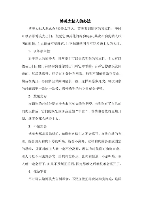 博美太粘人的办法