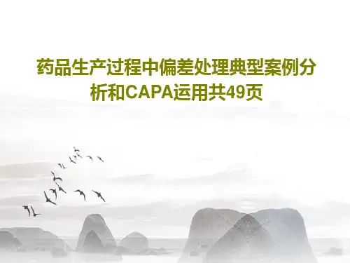 药品生产过程中偏差处理典型案例分析和CAPA运用共49页PPT文档共51页