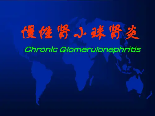慢性肾盂肾炎ppt课件1
