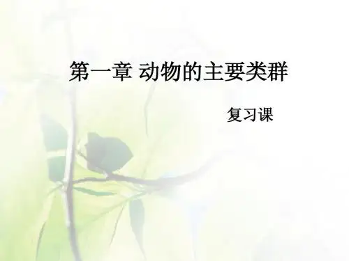 1.8 动物的主要类群  复习课