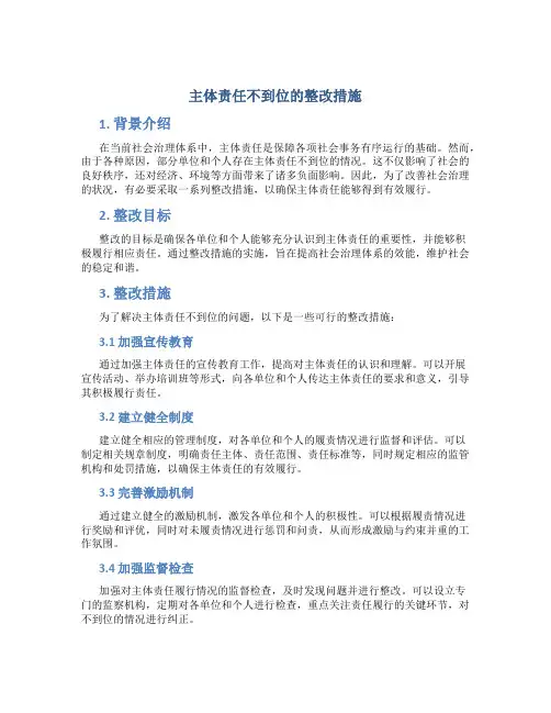 主体责任不到位的整改措施