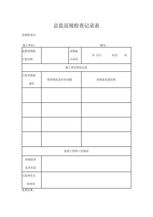 总监巡视检查记录表