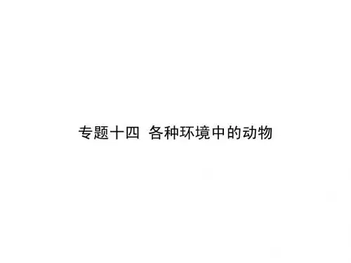 专题十四 各种环境中的动物