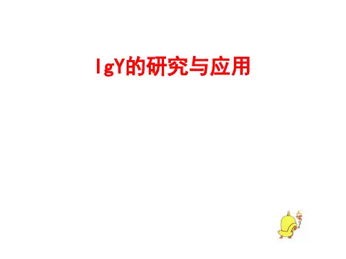 IgY的研究及应用