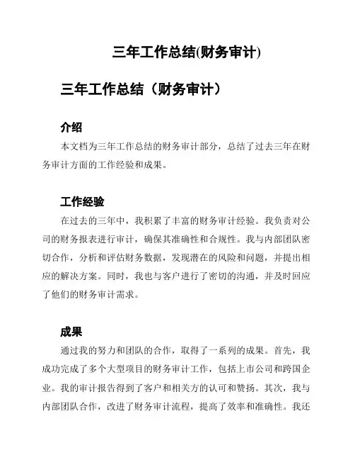 三年工作总结(财务审计)