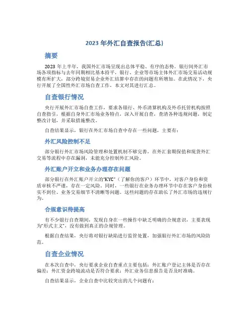 2023年外汇自查报告(汇总)