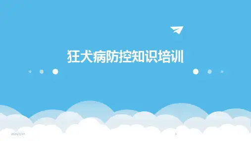 2024年度狂犬病防控知识培训
