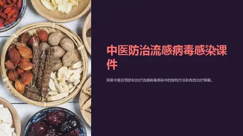 中医防治流感病毒感染课件