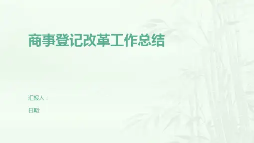 商事登记改革工作总结