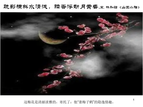 卜算子咏梅毛泽东PPT幻灯片