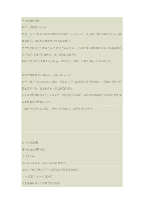 马拉维湖完整版详细介绍1