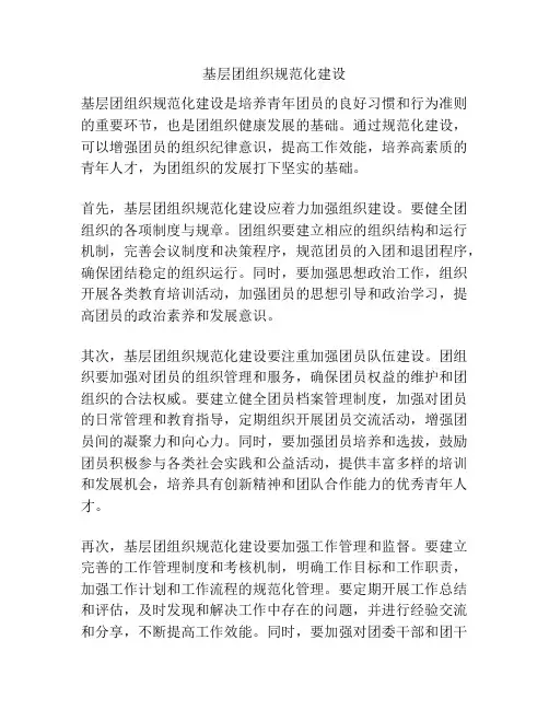 基层团组织规范化建设