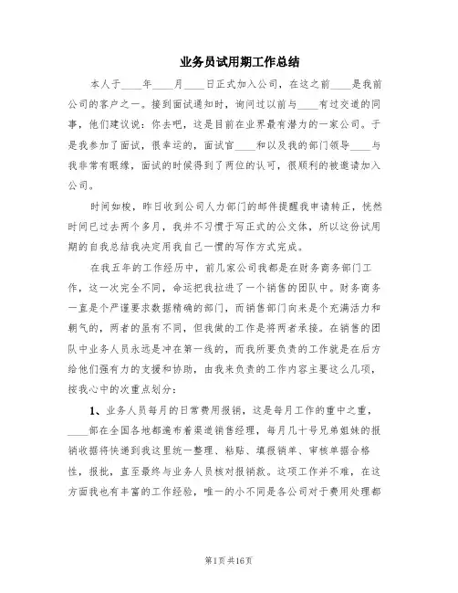 业务员试用期工作总结(6篇)