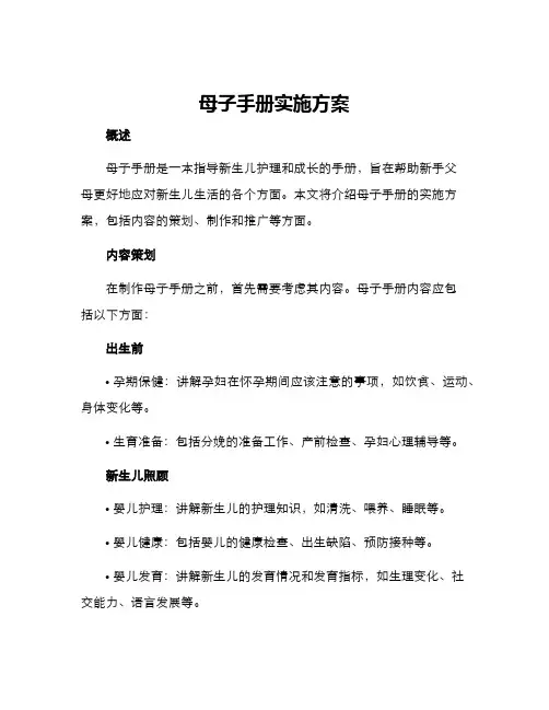 母子手册实施方案