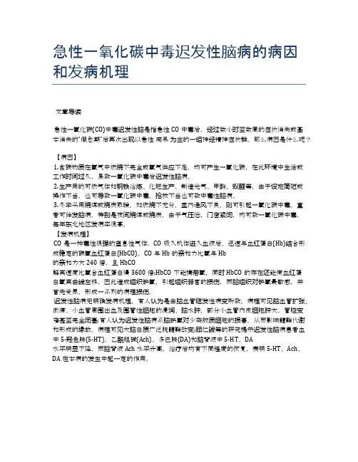 急性一氧化碳中毒迟发性脑病的病因和发病机理【医学养生常识】