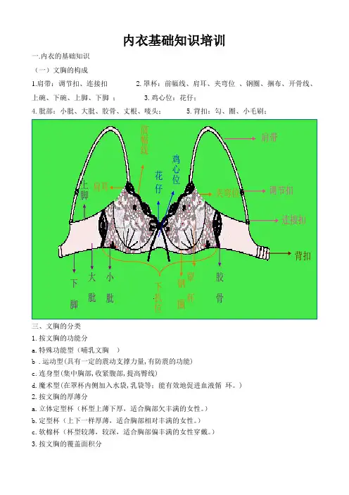 内衣基础知识培训