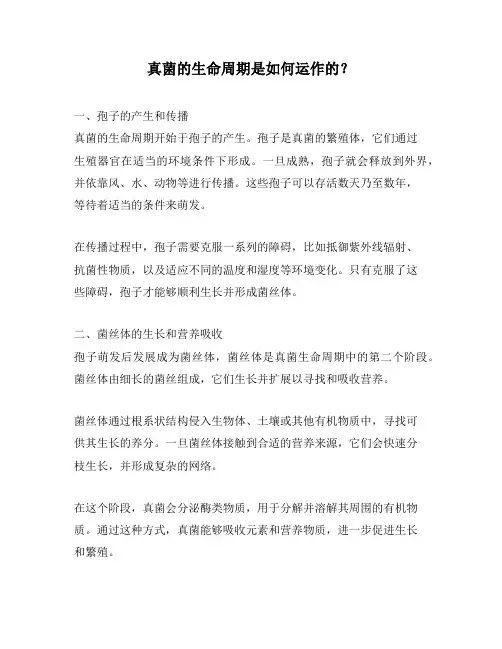 真菌的生命周期是如何运作的？