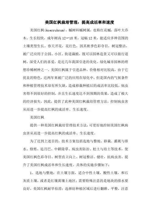 美国红枫栽培管理：提高成活率和速度