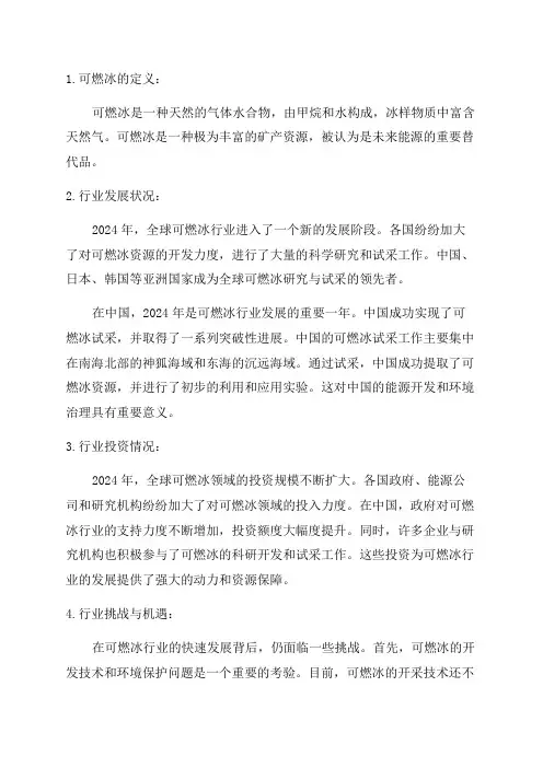 2024年可燃冰行业分析报告