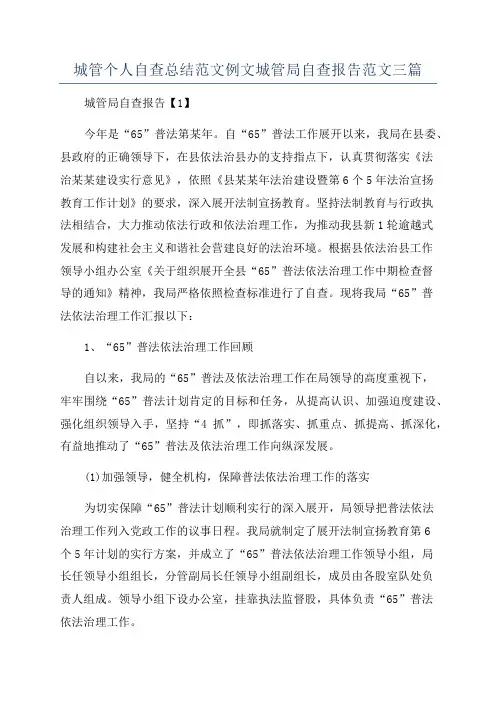 城管个人自查总结范文例文城管局自查报告范文三篇