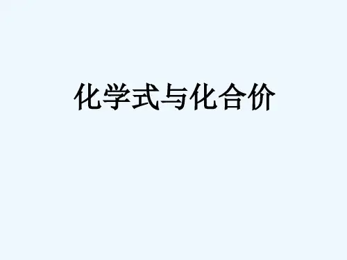 人教版化学式与化合价 PPT