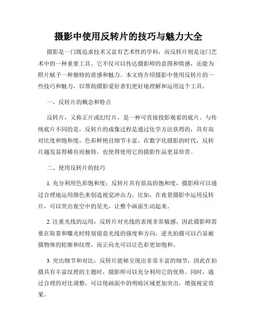 摄影中使用反转片的技巧与魅力大全