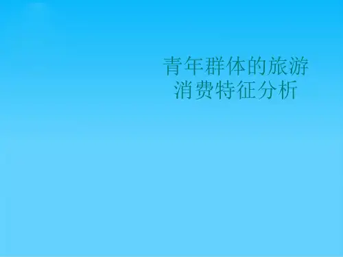青年群体的旅游消费特征分析