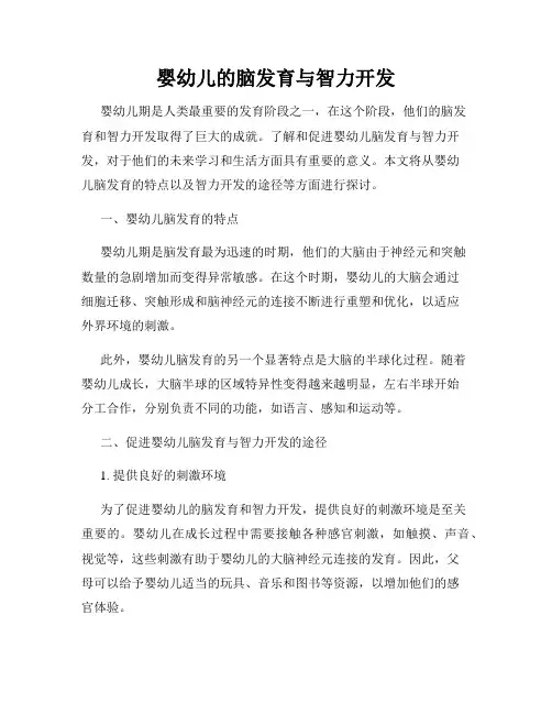 婴幼儿的脑发育与智力开发