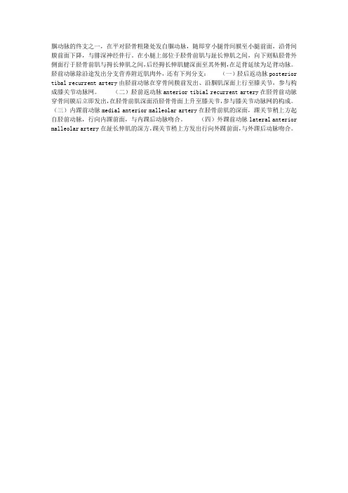 胫前动脉结构与解剖简述