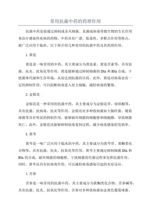常用抗菌中药的药理作用