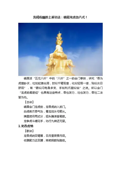洗精伐髓的上乘功法：峨眉龙虎劲八式！