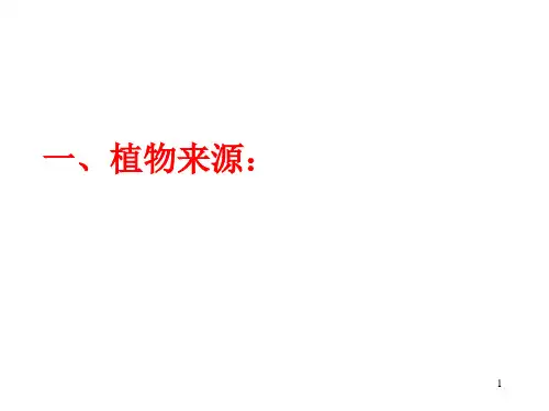 药用植物学与生药学木通
