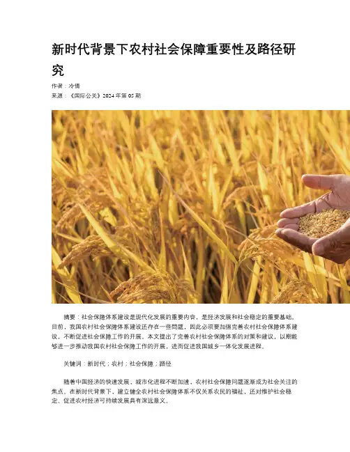 新时代背景下农村社会保障重要性及路径研究